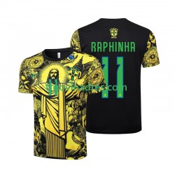 Muški Domaći Dres Brazil RAPHINHA 11 Jesus 2024 s Kratkih Rukava Muški Domaći Dres Brazil RAPHINHA 11 Jesus 2024 s Kratkih Rukava