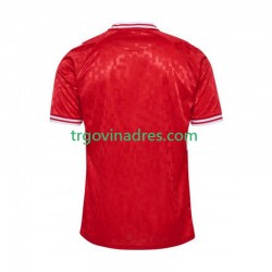 Muški Domaći Dres Danska Euro 2024 s Kratkih Rukava