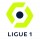 Ligue 1  + 2.50€ 